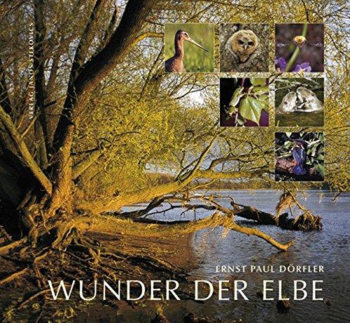 Wunder der Elbe von Ernst Paul Doerfler